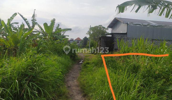 Disewakan Tanah Dekat Jalan Utama Denpasar-Gilimanuk dan Dekat RS Kapal 2