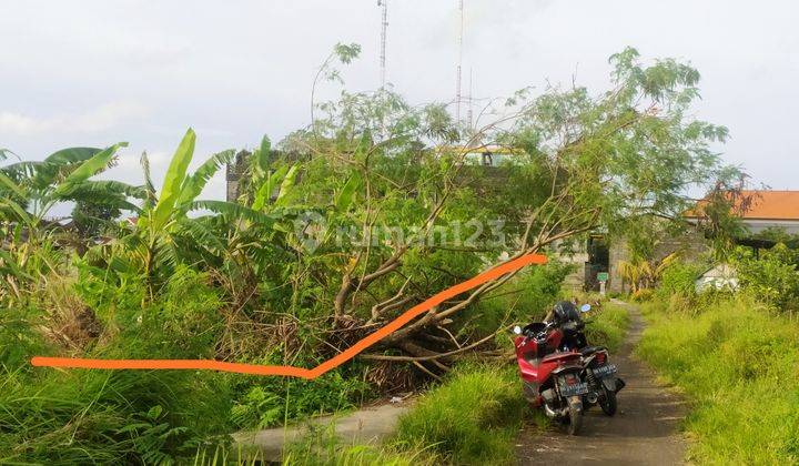 Disewakan Tanah Dekat Jalan Utama Denpasar-Gilimanuk dan Dekat RS Kapal 6