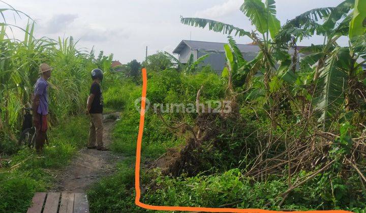 Disewakan Tanah Dekat Jalan Utama Denpasar-Gilimanuk dan Dekat RS Kapal 7