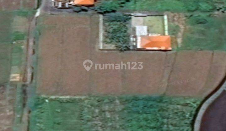 Disewakan Tanah Dekat Jalan Utama Denpasar-Gilimanuk dan Dekat RS Kapal 9
