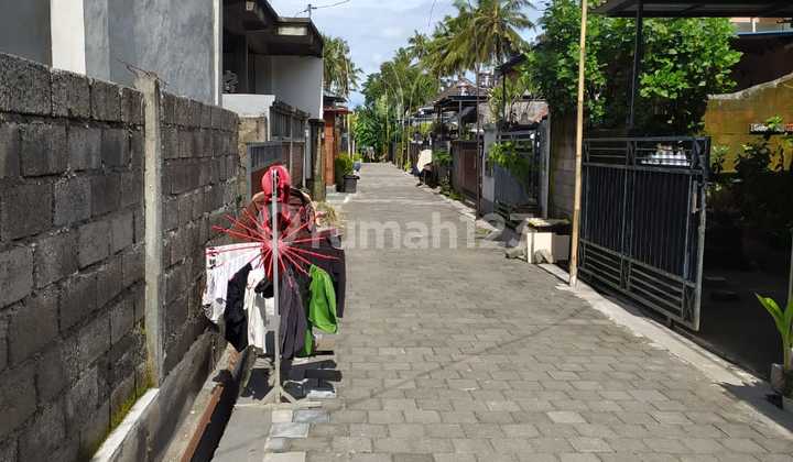 Disewakan Rumah 3 Kamar di Abiansemal Dekat Green School 10