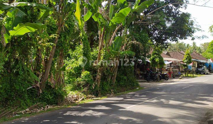 Disewakan Rumah 3 Kamar di Abiansemal Dekat Green School 11
