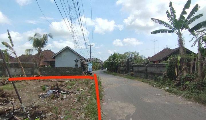 Disewakan Tanah 25juta Global Dekat Jalan Utama Tabanan, Bali 1