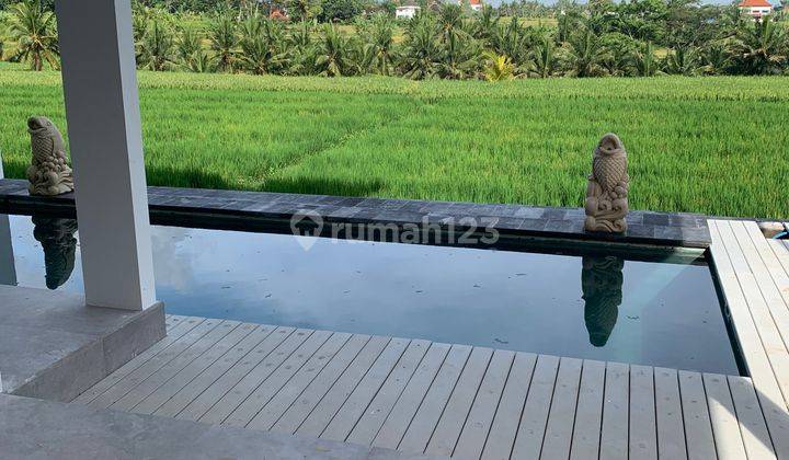 Villa Ubud Full Furnished Bagus View Sawah With Private Pool 2