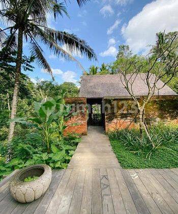 Beautiful Villa Ubud 3 Bedrooms View Jungle Shm