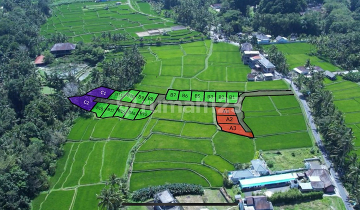 Villa Ubud With Pool View Sawah Abadi Shm 2