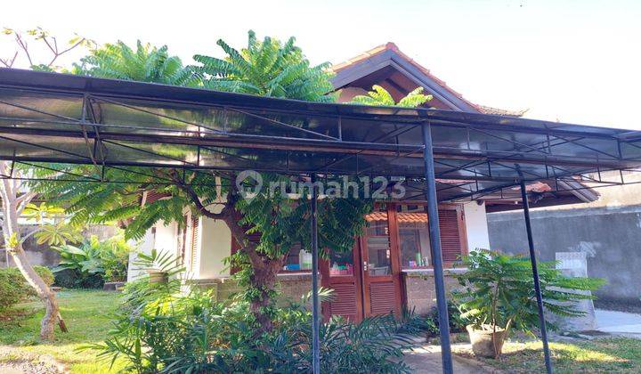 Rumah Mewah Model Villa Renon Hitung Tanah Saja 2