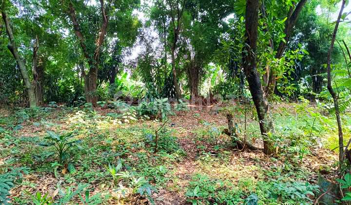 For Sale. Ready-to-build Plot of Land in Sawangan, Depok. For Sale. Ready-to-build Plot of Land in Sawangan, Depok.