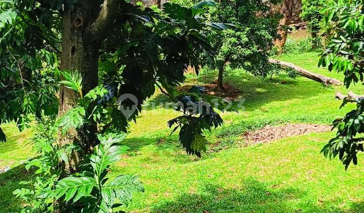 Di.jual.tanah Siap.bangun Cocok.utk.cafe Outdoor Hidden Gem Di.jagakarsa Jaksel