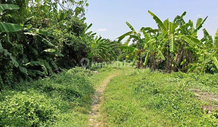 Tanah Kavling Area Pemukiman Dekat Puspem Badung 1