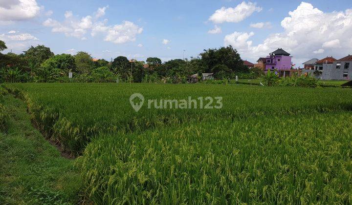 Tanah dekat ke Canggu aspek perumahan dan lingkungan tenang 6