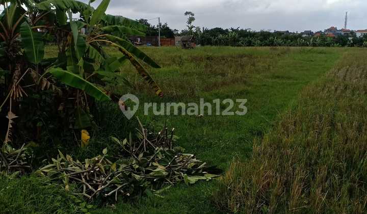 Tanah lokasi strategis untuk Villa sangat dekat ke Canggu 6
