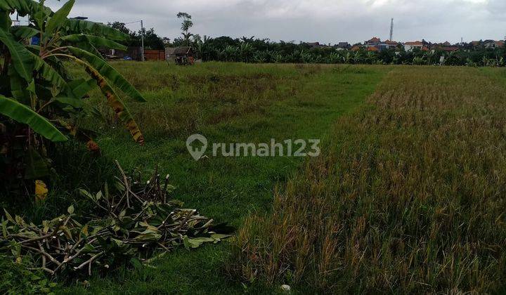 Tanah lokasi strategis untuk Villa sangat dekat ke Canggu 8