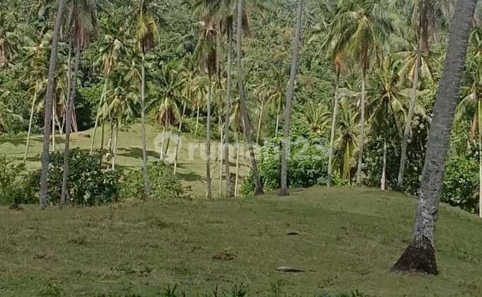 LAND VIEW OCEAN ASPECT OF HOUSING