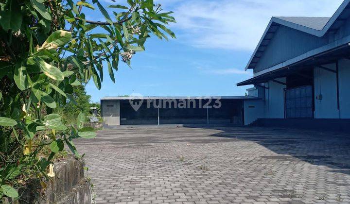 SPACIOUS WAREHOUSE IN EAST DENPASAR BY PASS IDA BAGUS MANTRA 2