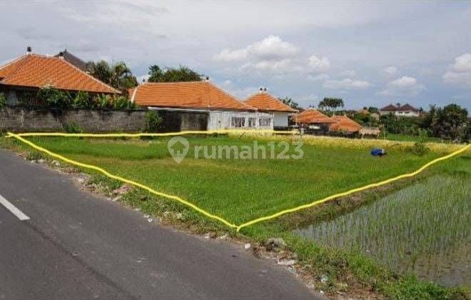 The land in Umalas Kerobokan is strategic for villas 2