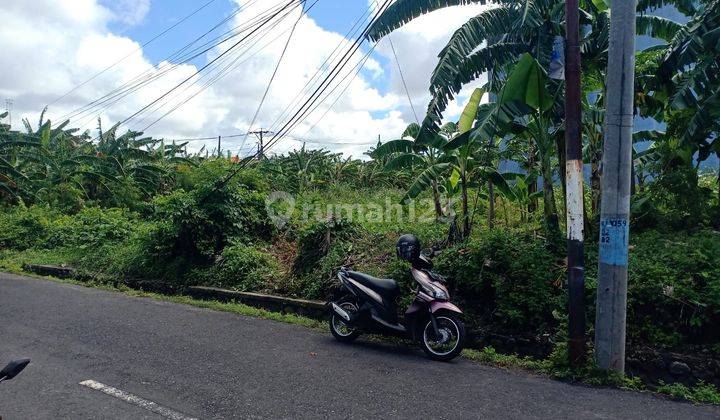 Tanah di Dewi Sri Legian lingkungan Villa 3