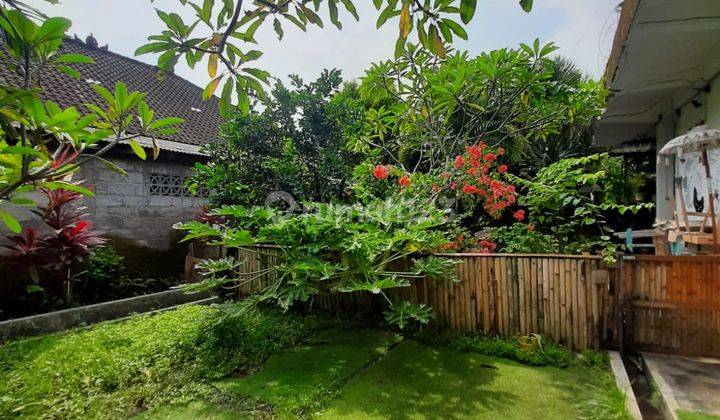 Rumah halaman luas di Canggu cocok dijadikan Villa 1