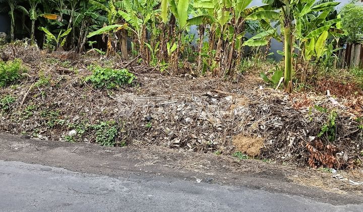 Elite neighborhood land in Renon Denpasar City Center Elite neighborhood land in Renon Denpasar City Center