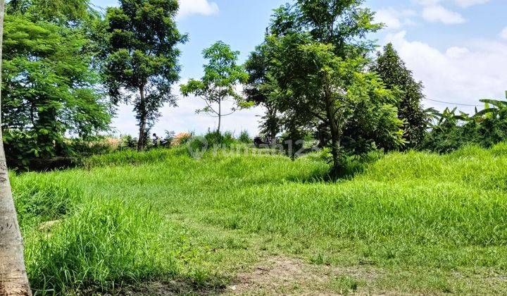 Land with views of eternal rice fields and rivers in Ubud 1