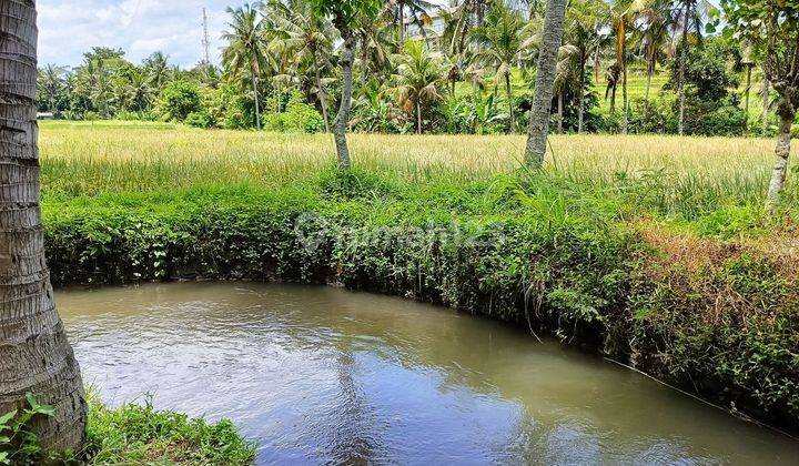 Land with views of eternal rice fields and rivers in Ubud 2