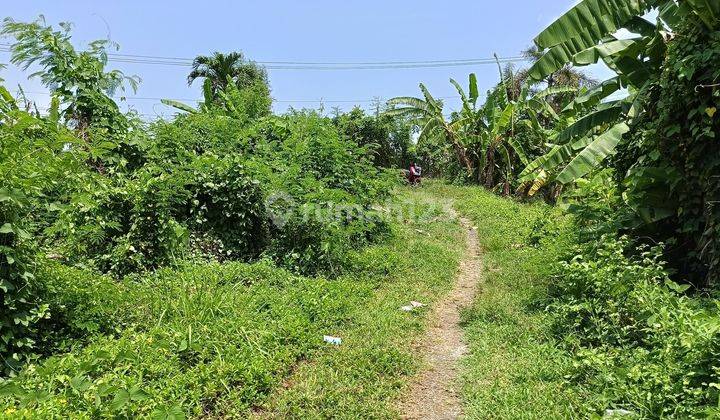 Tanah Kavling Area Pemukiman Dekat Puspem Badung 1