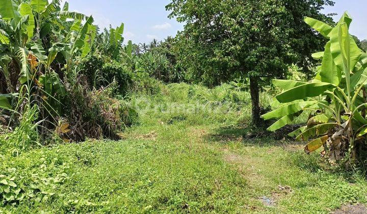 Tanah Kavling Area Pemukiman Dekat Puspem Badung 2