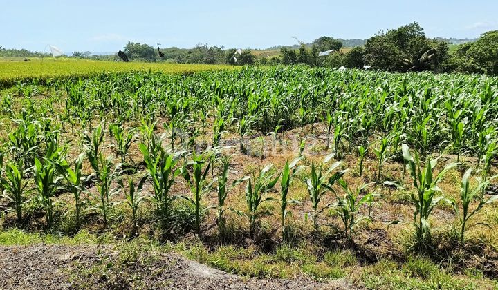 Tanah Zona Pariwisata Di Yeh Gangga Tabanan Dekat Waka 2