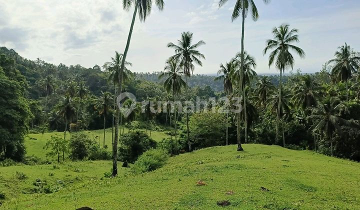 STRATEGIC LAND FOR RESORTS AND VILLAS IN WEST SELEMADEG