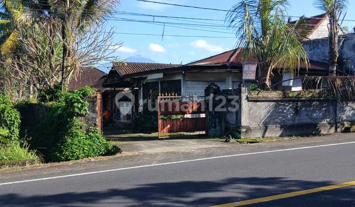 main road land Denpasar Singaraja Perean