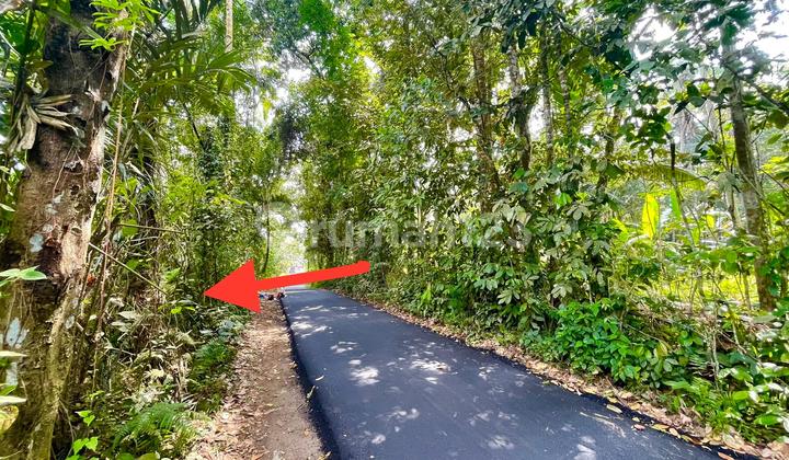 Tanah Di Raya Kelusa Peliatan Dekat Ke Ubud 1