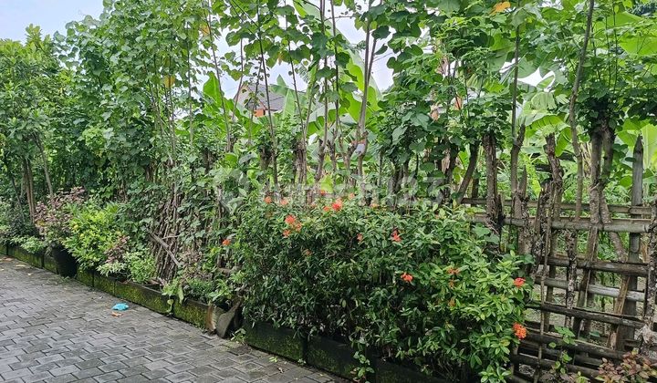 Ready-to-Build Land in Central Denpasar City, Renon Ready-to-Build Land in Central Denpasar City, Renon