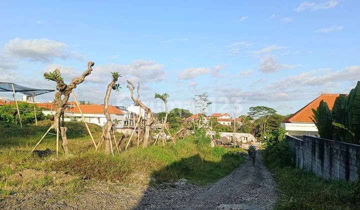 Land in the Tourism Center of Pererenan Canggu
