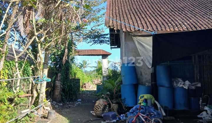 main road land Denpasar Singaraja Perean
