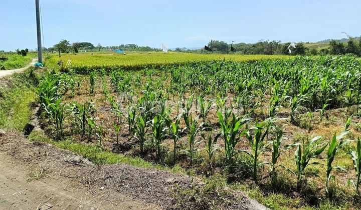 Tanah Zona Pariwisata Di Yeh Gangga Tabanan Dekat Waka 1