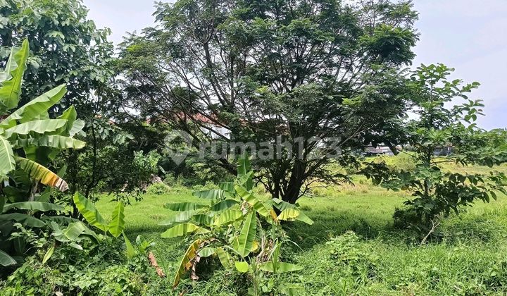 Land Near the Seminyak Tourism Area Land Near the Seminyak Tourism Area