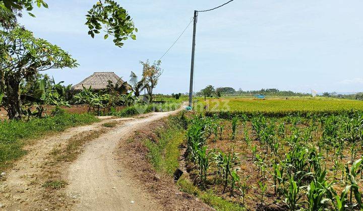 Land Tourism Zone Near Waka Yeh Gangga Resort 1