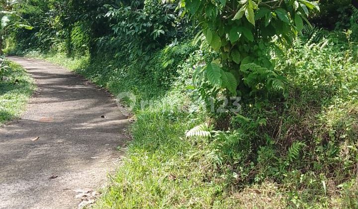 For rent, 40 acres of land from Gempinis Tabanan