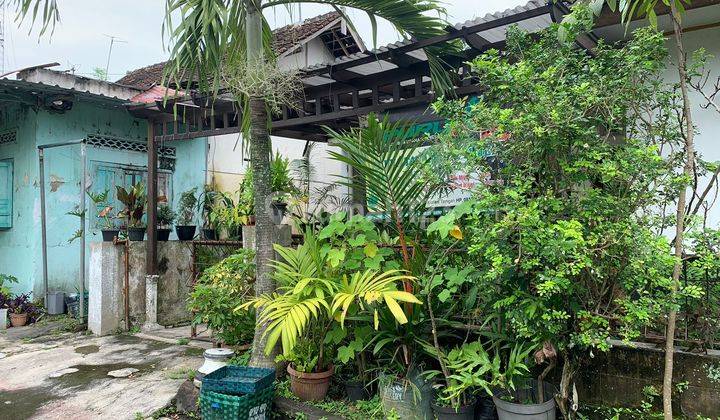 Jual Tanah Gratis Rumah Di Klaten Tengah Hanya 2.5jt m2 Luas 395m2 3