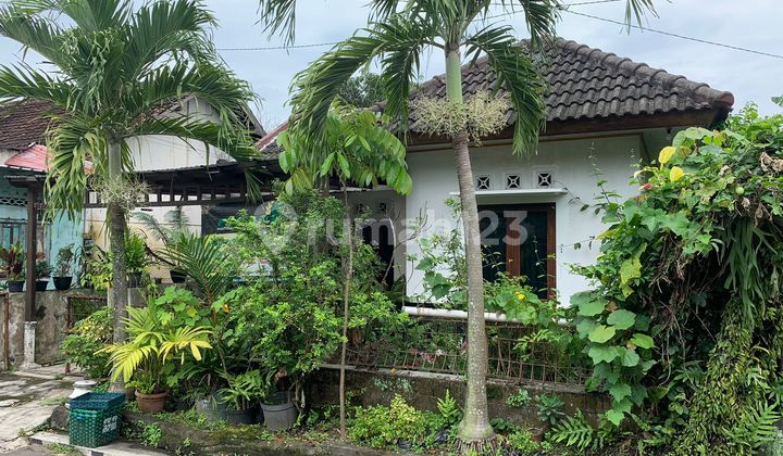 Jual Tanah Gratis Rumah Di Klaten Tengah Hanya 2.5jt m2 Luas 395m2 5