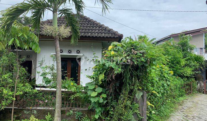 Jual Tanah Gratis Rumah Di Klaten Tengah Hanya 2.5jt m2 Luas 395m2 7