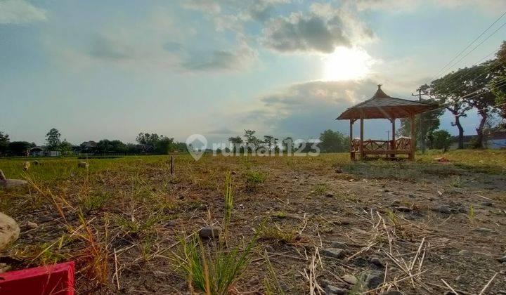 Dijual Rumah Minimalis Hanya 200jtan Di Kebonarum Legalitas SHM 6
