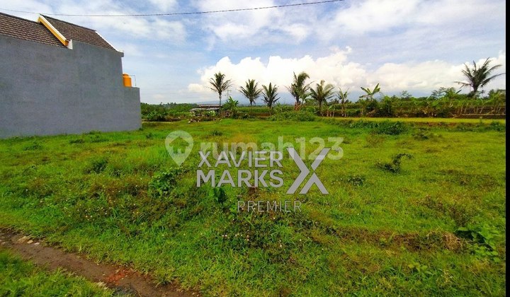 Dijual Tanah Kavling Luas 142 M2 Di Mulyorejo Kec. Sukun, Malang 3
