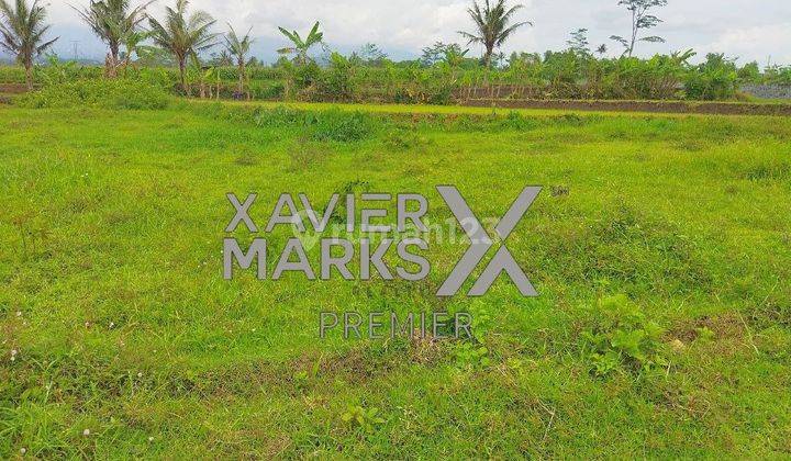 Dijual Tanah Kavling Luas 142 M2 Di Mulyorejo Kec. Sukun, Malang 5