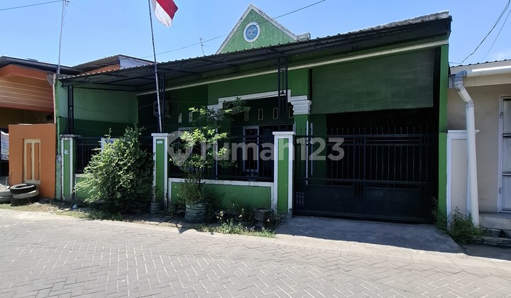 Rumah Siap Huni Jalan Mallengkeri. Tanah 10x15. 1,5 Lantai.