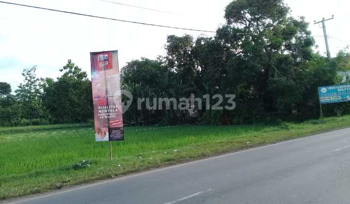 Tanah Dan Sawah Luas 6000 M2. Cocok Bangun Tempat Usaha. Subang 2