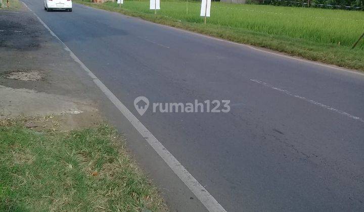 Tanah Dan Sawah Luas 6000 M2. Cocok Bangun Tempat Usaha. Subang 1