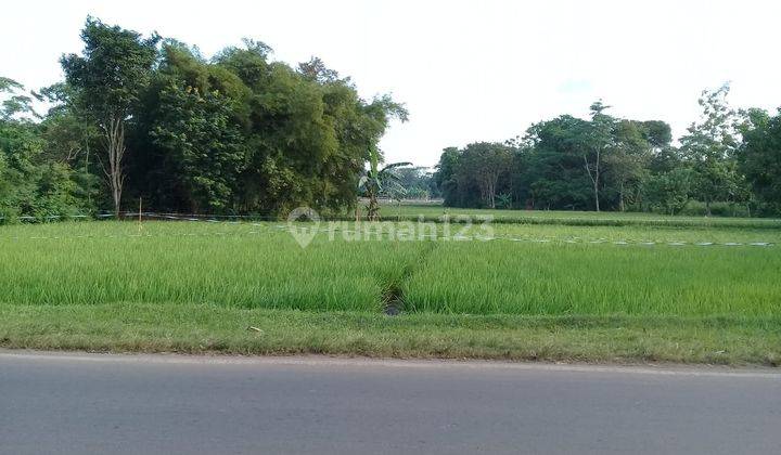 Tanah Dan Sawah Luas 6000 M2. Cocok Bangun Tempat Usaha. Subang 3