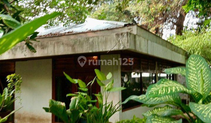 Rumah Lama Lingkungan Nyaman Di Cempaka Putih Jakarta Pusat 1