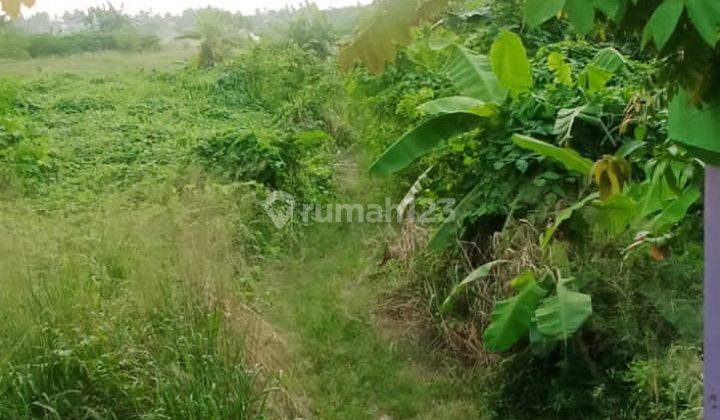 TANAH DIJUAL CEPAT DIBAWAH HARGA 2